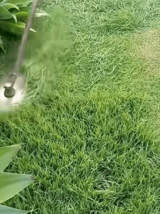 EasyReach Cordless Chainsaw