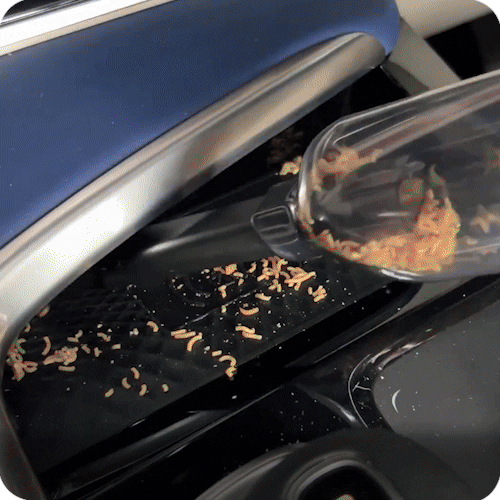 Handy Car Vacuum & Blower