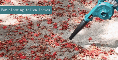 QuickSwitch Leaf Blower