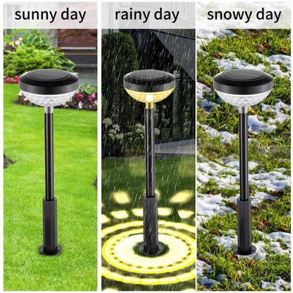 Sunlit Mandala Garden Lights